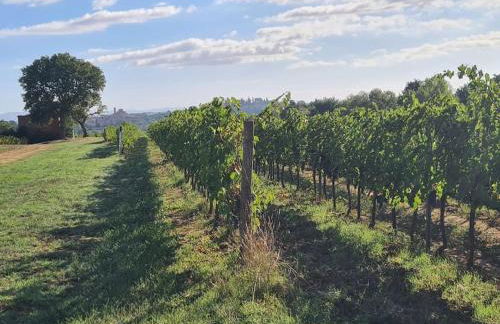 Montepulciano - La Casetta del Pian delle Noci - Foto 46