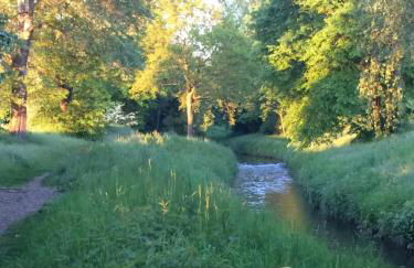 Eifel-Lounge BLOCKHAUS mit Kamin Garten Balkon nahe Köln Therme Brühl Phantasialand - Foto 56