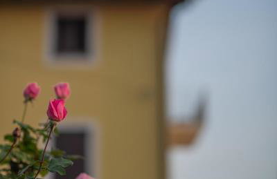 Apartman Klaudia - Photo 43