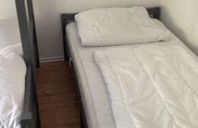 Seemöwe am Naturstrand - Foto 15