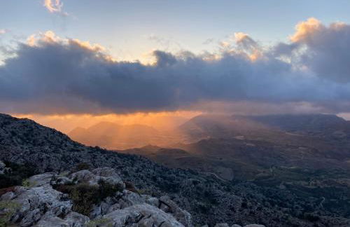 Tulip House - Foto 53