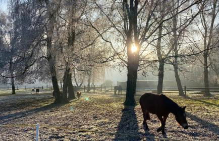 FeWo im Vest - Foto 27