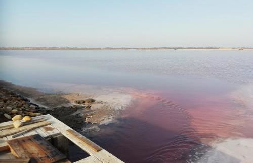 la maison du saunier - Foto 8