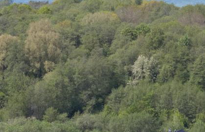 Dom nad Morzem Pleśna78 - Foto 31