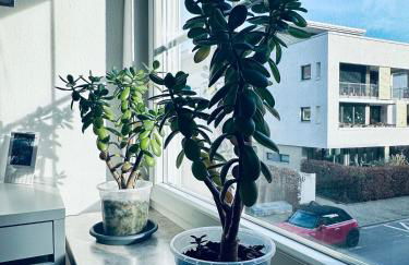 Zentrale Ferienwohnung in Friedrichsdorf für 1-7 Personen - Foto 9