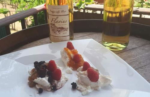 Poggio agli Ulivi vicolo di Colle Reti 22 Frascati - Foto 30