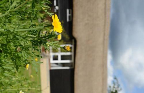 The Old Ironhouse - Foto 16