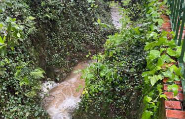 Alojamiento La Casa del Pintor - Foto 50