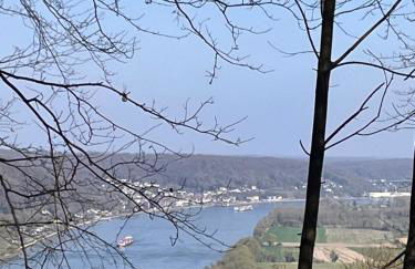 Gite LA FLEUR DE SEINE - Foto 39