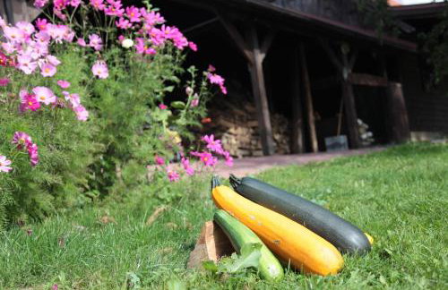 Orlik Mazury - Foto 34