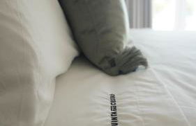 Quinta das Cestas - Agroturismo - Foto 34