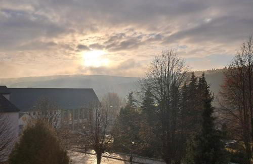 Gemütliche Ferienwohnung mit Sauna und Balkon im Zentrum von Bad Elster - Photo 18