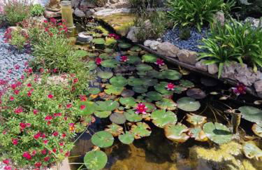 villa ORANANS - Foto 18