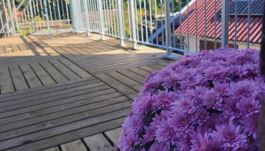 Gemütliche Wohnung mit großer Dachterrasse - Foto 3