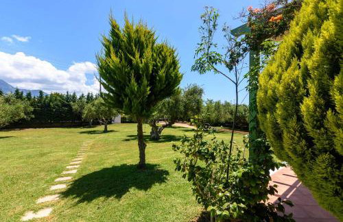 Terpsi Apartments - Kyparissia Garden Retreats - Photo 25