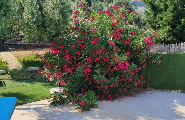 Okeanos Vine Luxury Villa - Foto 72