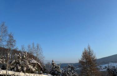 Zielony Dom - Foto 6