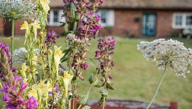 Ferienhaus Gut Glück - Foto 3