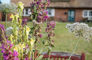Ferienhaus Gut Glück - Foto 3