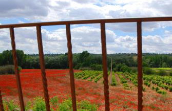 Casa del Rio - Foto 41