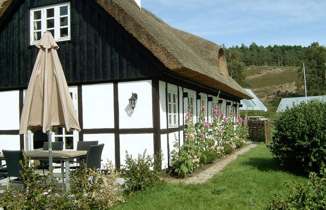 "Eva" - 1.5km to the fjord - Foto 17