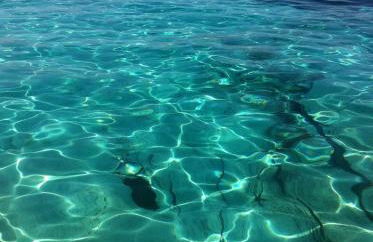 Appartement 2 terrasses face mer de 100m2 - Foto 27