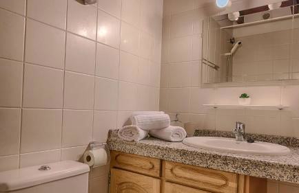 Saplan Real Estate MONTLUDE - Photo 31