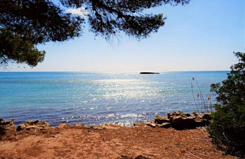 Don Cayo 17 - Photo 31