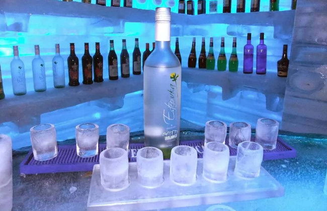 Billet pour l'Icebar Iguazú - Photo 2