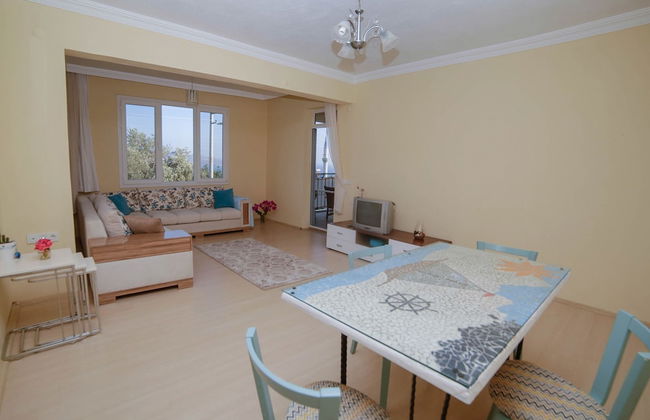 Kaktus Gokseki - Foto 8