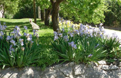 Apartment Pod Lipom - Photo 29