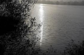 Ferienhäuser Pannier I und oder II - Foto 22