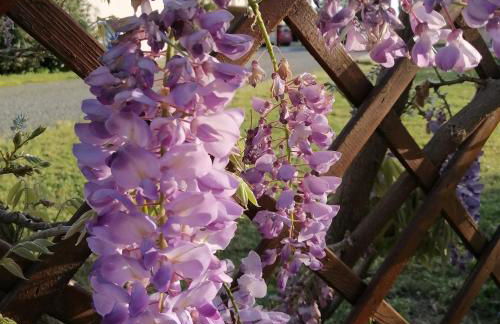 Agriturismo Susanna e Atria - Foto 3