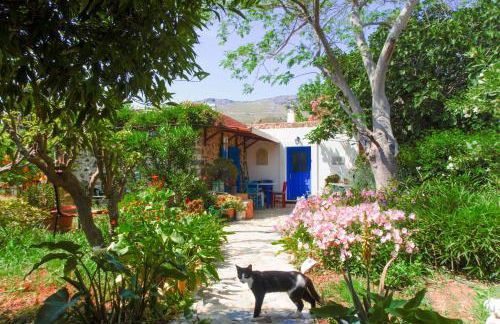 Phlea Farm Studios - Foto 8