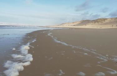 Bel appartement à 100 m de la plage - Foto 12