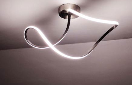 Seagulls, Elegance and Freedom - Foto 45