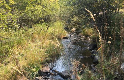 Priceless Black Hills View - Foto 47