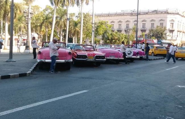 Apartment in Havana with terrace - Photo 31