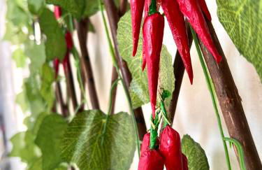 Lady Isa Casa Vacanza - Foto 15