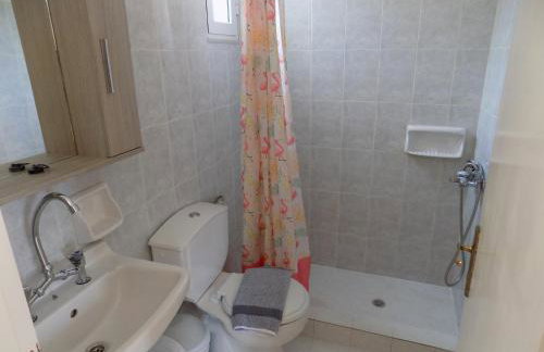 JERRY'S STUDIOS LASSI - Photo 47