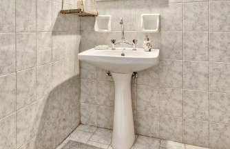 Sempreviva - Foto 28