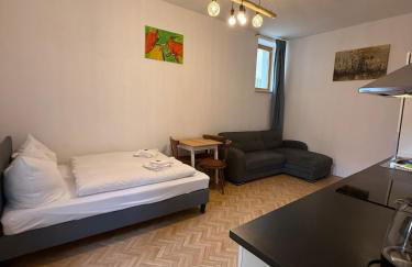 Gasthof zum goldenen Schiff - Budgetwohnung im Hotel - Foto 8