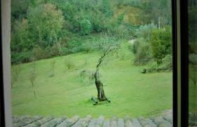 Agriturismo Monterone - Foto 5