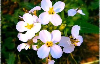 AlliPatuli Apartments - Foto 59