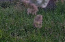 Casa Vacanze Principesca - Foto 49