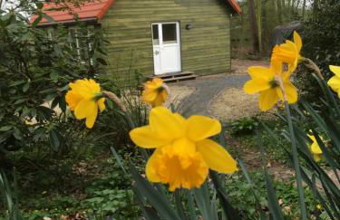 Ferienhof Ohlenbusch - Photo 1