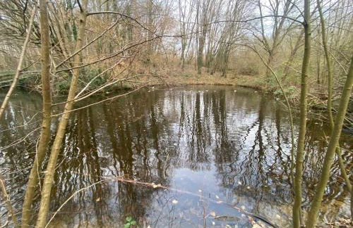 Oase mit Meerblick, Schwimmbad & nahe Hansapark, kostenlos Parken - Foto 26