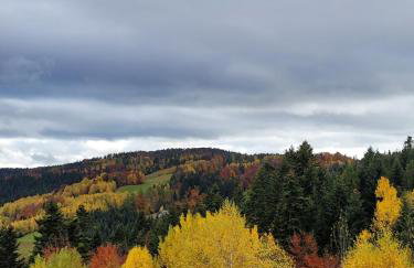 Domek na Obidzy - Foto 2