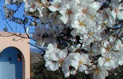 Casa de desierto - Foto 49