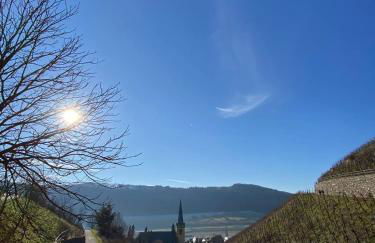 Citystudio 3 Rosenburgblick in Moselnähe - Foto 11